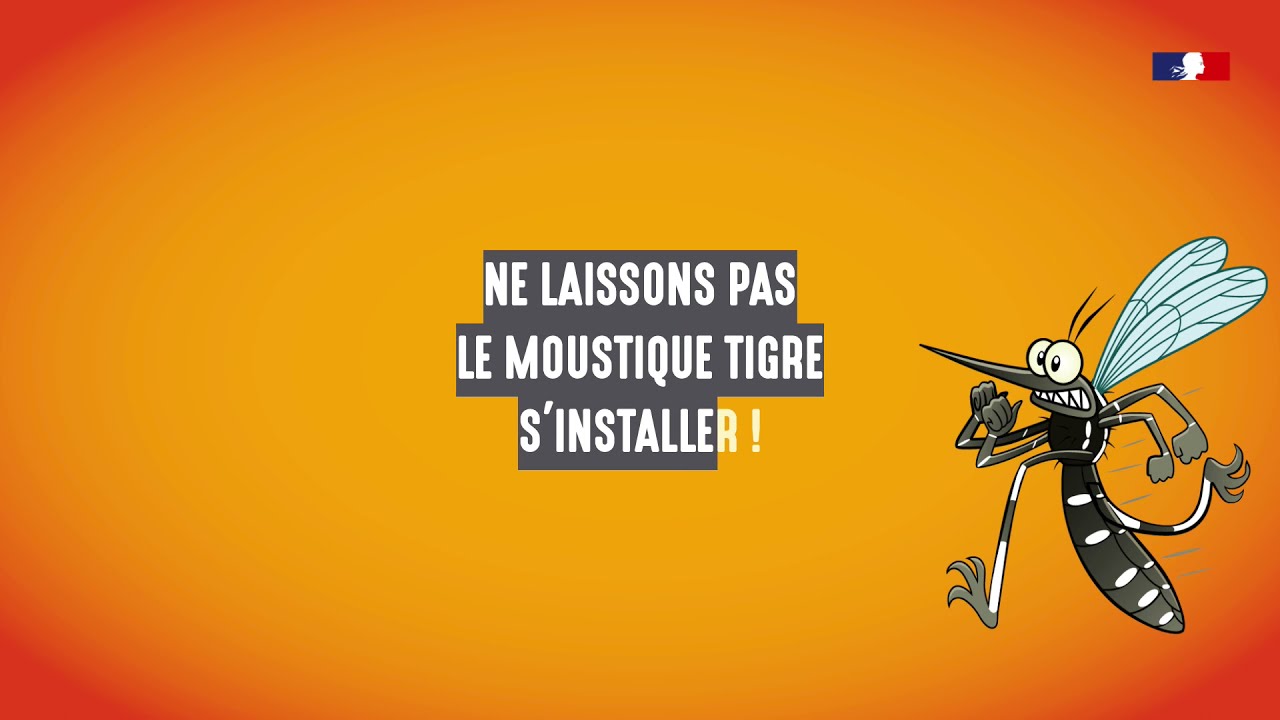 Surveillance du moustique tigre