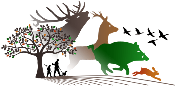 infos chasse