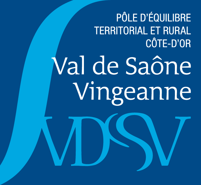 logo vdsv